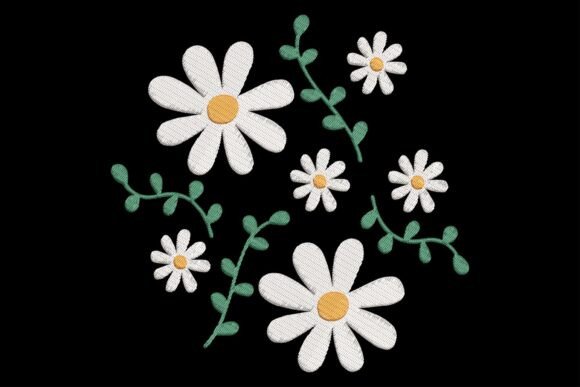 Beautiful Daisy Flowers