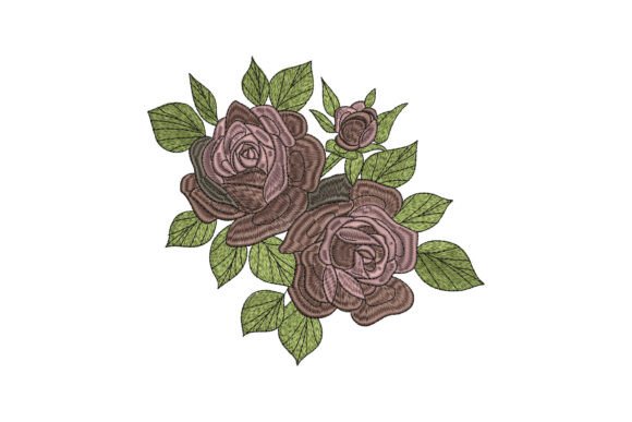 Dusty Pink Garden Roses