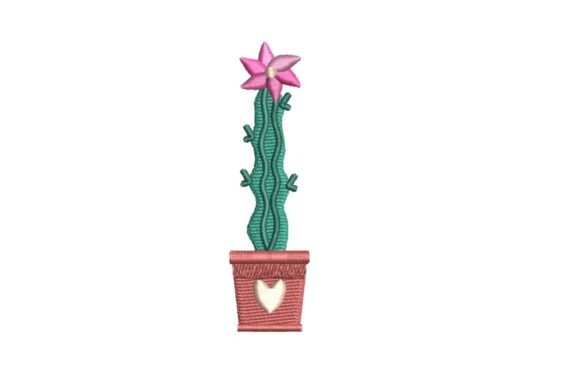 Tall Flowering Cactus in Heart Pot